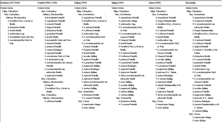 Cronología de la clasificación de las especies Salvia sección Scorodoniae.