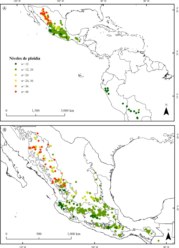 Distribuci&oacute;n geogr&aacute;fica de niveles de ploid&iacute;a para las especies de Cosmos Cav. secci&oacute;n Discopoda (DC.) Sherff.