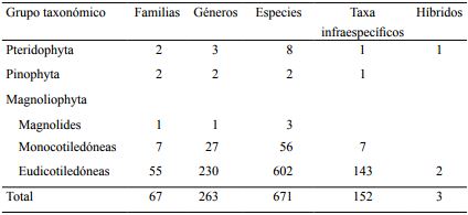Participaci&oacute;n cuantitativa de los grandes grupos de elementos vasculares end&eacute;micos al Desierto Chihuahuense.