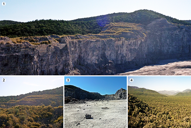 Áreas evaluadas: 1. área de estudio sometida a procesos de
								fragmentación de roca; 2. área restaurada durante siete años (RES);
								3. área no restaurada (NRES); 4. área de referencia (REF)
								caracterizada por la presencia de vegetación natural.