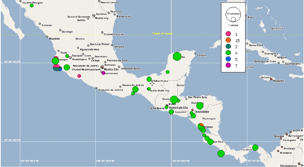 Distribución de haplotipos de Spondias purpurea L. incluidos en el grupo 2 del análisis de contingencia anidada de la red de haplotipos. El haplotipo 1 se repite en todos los paneles aunque pertenece al grupo 1.