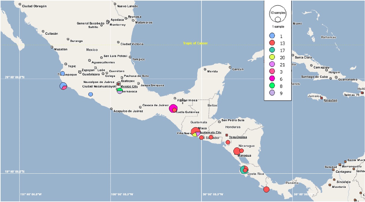 Distribución de haplotipos de Spondias purpurea L. incluidos en el grupo 1 del análisis de contingencia anidada de la red de haplotipos. El haplotipo 1 se repite en todos los paneles aunque pertenece al grupo 1.