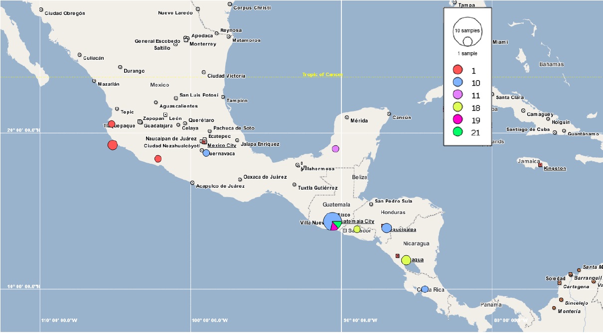 Distribución de haplotipos de Spondias purpurea L. incluidos en el grupo 3 del análisis de contingencia anidada de la red de haplotipos. El haplotipo 1 se repite en todos los paneles aunque pertenece al grupo 1.
