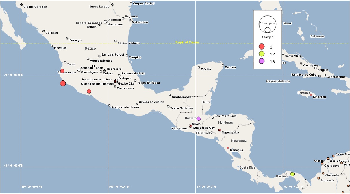 Distribución de haplotipos de Spondias purpurea L. incluidos en el grupo 4 y 5 del análisis de contingencia anidada de la red de haplotipos. El haplotipo 1 se repite en todos los paneles aunque pertenece al grupo 1.