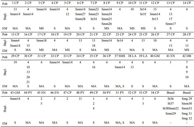 Distribución de los haplotipos (Hapl.) de S. purpurea L., S. mombin L. var. mombin (Smm), S. mombin L. var. globosa J.D. Mitch. & D.C. Daly (Smg) S. radlkoferi Donn. Sm. (Sr) y S. testudinis J.D. Mitch. & Daly (St) en 54 poblaciones muestreadas (Pob) de provincia biogeográfica; más las de Brasil. Las secuencias se asignaron a 54 poblaciones de acuerdo con los datos de colecta presentados por Miller y Schaal (2006) y con las del banco de datos del SNICS-SINAREFI. CP=Costa del Pacífico; EN=Eje Neovolcánico; DB=Depresión del Balsas; SMS=Sierra Madre del Sur; GM=Golfo de México; LA=Los Altos de Chiapas; PY=Península de Yucatán. Se presenta además su estatus de manejo en la población (EM): silvestre (S), manejo silvícola (MS) y manejo agrícola (MA).