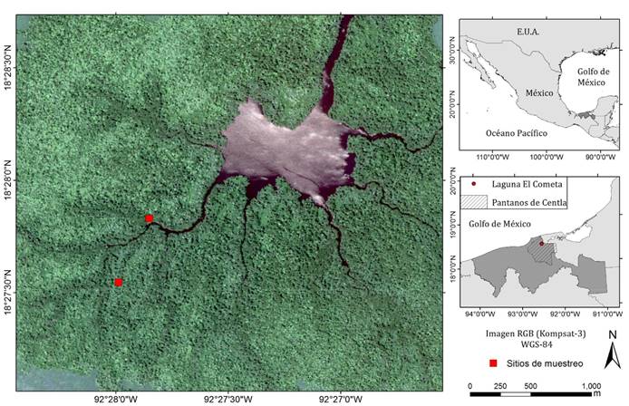Ubicación del área de estudio y puntos de muestreo en la laguna El Cometa en la Reserva de la Biosfera “Pantanos de Centla”, Tabasco, México.