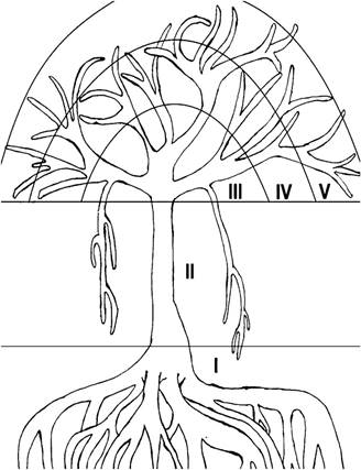 División del forófito considerada para este estudio. Estratificación vertical modificada de Johansson (1974). Ilustración: René Roblero Velasco.
