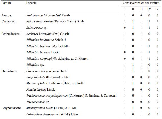 Listado de especies de epífitas vasculares en Rhizophora mangle L. de la laguna El Cometa, Reserva de la Biosfera “Pantanos de Centla”, indicando presencia=1 y ausencia=0 de las especies en las zonas verticales del forófito, modificado de Johansson (1974).