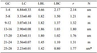 Medidas cromos&oacute;micas promedio obtenidas de siete c&eacute;lulas en metafase t&iacute;pica de Tigridia pavonia (L.f.) DC. GC: grupo cromos&oacute;mico; LC: longitud cromos&oacute;mica en &micro;m; LBL: longitud de brazo largo en &micro;m; LBC: longitud de brazo corto en &micro;m; r: LBL/LBC; N: nomenclatura; *: constricci&oacute;n secundaria y sat&eacute;lite.