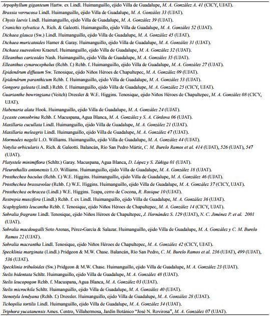 Nuevos reportes de la familia Orchidaceae para el estado de Tabasco.