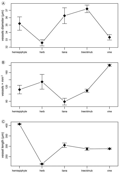 Vessel measurements. A. tangential diameter of vessel lumen in transverse section (values in μm); B. number of vessels per mm2 in transverse section; C. axial length of vessels (values in μm).