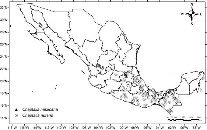 Mapa de distribuci&oacute;n de Chaptalia mexicana
								Burkart y C. nutans (L.) Pol.