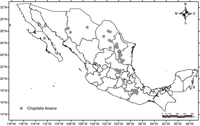 Mapa de distribuci&oacute;n de Chaptalia texana
								Greene.