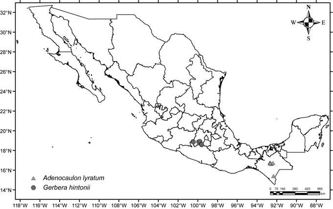 Mapa de distribuci&oacute;n de Adenocaulon lyratum S.F. Blake y Gerbera hintonii (Bullock) Katinas.