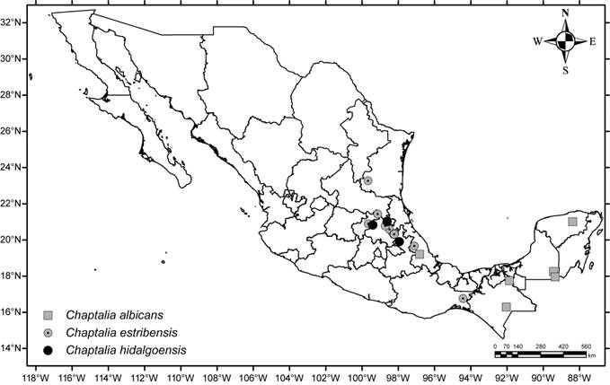 Mapa de distribuci&oacute;n de Chaptalia albicans (Sw.)
								Vent. ex Steud., C. estribensis
								G.L. Nesom y C. hidalgoensis L. Cabrera & G.L.
								Nesom.