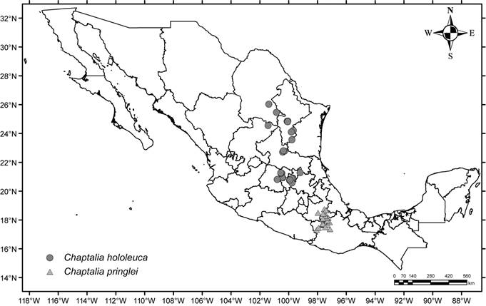 Mapa de distribuci&oacute;n de Chaptalia hololeuca
								Greene y C. pringlei Greene.