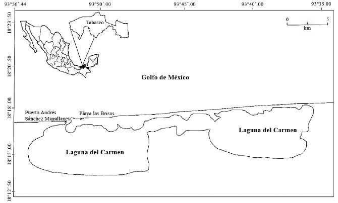 Ubicaci&oacute;n del &aacute;rea de estudio y de las localidades de muestreo: Puerto Andr&eacute;s S&aacute;nchez Magallanes y Playa las Brisas (municipio C&aacute;rdenas), Playa Pico de Oro y Playa Miramar (municipio Centla) y Playa Para&iacute;so, Puertos de dos Bocas y Poblado Chiltepec (municipio Para&iacute;so).