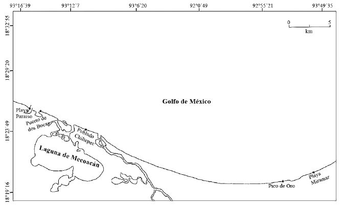 Ubicaci&oacute;n del &aacute;rea de estudio y de las localidades de muestreo: Puerto Andr&eacute;s S&aacute;nchez Magallanes y Playa las Brisas (municipio C&aacute;rdenas), Playa Pico de Oro y Playa Miramar (municipio Centla) y Playa Para&iacute;so, Puertos de dos Bocas y Poblado Chiltepec (municipio Para&iacute;so).