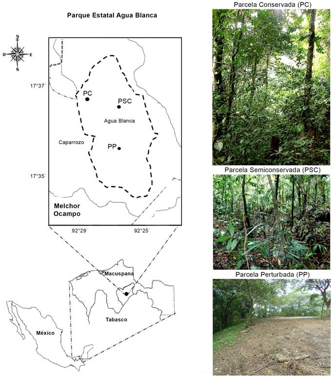 Localizaci&oacute;n del Parque Estatal Agua Blanca (PEAB) y de las parcelas estudiadas en Tabasco, M&eacute;xico. Parcela conservada (PC), Parcela semiconservada (PSC) y Parcela perturbada (PP).