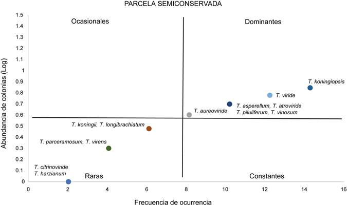Diagrama de Olmstead-Tukey donde se representa las categor&iacute;as de raras, ocasionales, dominantes y constantes para las especies de Trichoderma Pers. en la parcela Semiconservada.