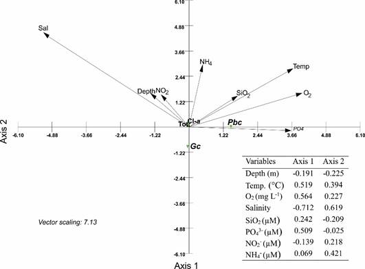 Canonical Correlation Analysis bi-plot of the chlorophyll-a
									(Cl-a), abundance of total phytoplankton
								(Tot.), Gymnodinium catenatum Graham
									(Gc), and Pyrodinium bahamense
								var. compressum (B&ouml;hm) Steidinger, Tester et Taylor
									(Pbc), in relation to physicochemical
								parameters. Sal=Water salinity; Temp=Water temperature; O2=Oxygen
								dissolved in water. Length and direction of arrows indicate the
								relative importance and direction of change of environmental
								variables. The table shows the interset correlations derived from
								the canonical analysis, of the abundance dependent data matrix and
								the physicochemical data matrix evaluated in Acapulco Bay, Guerrero,
								Mexico, during October 2009 to January 2011