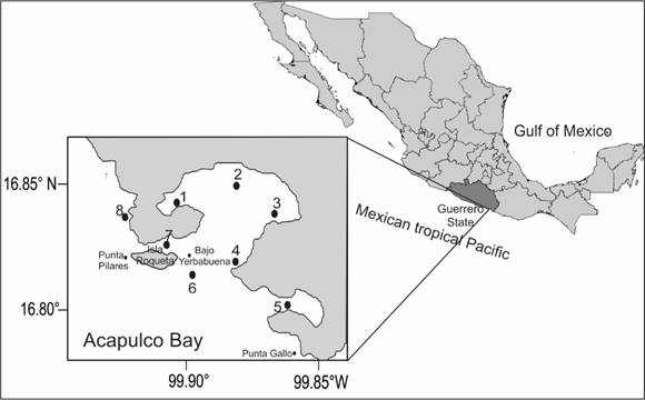 Study area and sampling locations within the Acapulco Bay
								Guerrero, Mexico, and adjacent coastal zone. Sampling locations: 1.
								Muelle; 2. Centro; 3. Naval; 4. Punta Bruja; 5. Puerto Marqu&eacute;s; 6.
								Bocana; 7. Caleta; 8. Sinfon&iacute;a