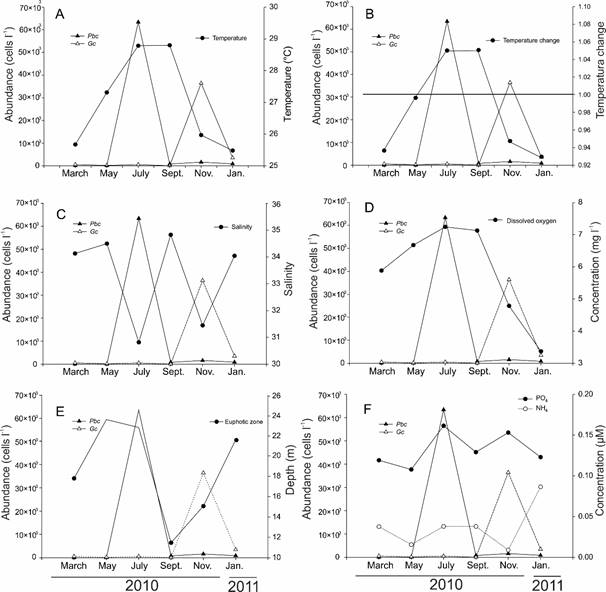 Average abundances per month of the species Gymnodinium
									catenatum Graham (Gc) and
									Pyrodinium bahamense var.
									compressum (B&ouml;hm) Steidinger, Tester et Taylor
									(Pbc) in Acapulco Bay, Guerrero, Mexico, in the
								months studied during the annual cycle in 2010, in relation to
								environmental parameters. A. abundance of the species against the
								average water temperature per month; B. abundance of the species
								against the change in water temperature. To obtain the values, the
								temperature main annual value (27.41&deg;C) was subtracted from the
								average monthly temperature values; thus values >1 indicate
								temperature increase and values <1 temperature decrease; C.
								abundance of the species against the average monthly salinity; D.
								abundance of the species against the average monthly of dissolved
								oxygen concentration; E. abundance of the species against the
								average monthly of the depth of euphotic layer (Zeu); F. abundance
								of the species against the average monthly of concentration of
								phosphates and ammonium