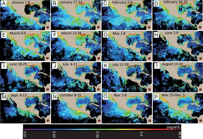 Chlorophyll-a satellite images corresponding to
								weekly averages of different months of the year 2010. A.
								1-8/January; B. 17-24/January; C. 2-9/February; D. 18-25/February;
								E. 6-9/March; F. 22-29/March; G. 1-8/May; H. 2-9/June; I. 18-25/
								June; J. 4-11/July; K. 12-19/July; L. 13-20/August; M.
								6-13/September; N. 8-15/October; O. 1-8/November; P. 25/November to
								25/December. The images were obtained from