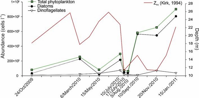 Average abundance of total phytoplankton and diatoms and
								dinoflagellates, as well as the depth of the euphotic zone
								(Zeu)obtained from the samples taken from October (2009) to January
								(2011) in Acapulco Bay, Mexico