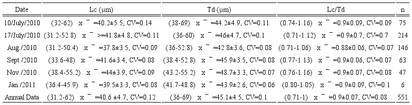Morphometry of organisms of Pyrodinium
										bahamense var. compressum (B&ouml;hm)
									Steidinger, Tester et Taylor, in different dates of collection
									in Acapulco Bay, Guerrero, Mexico (N=551), considering all types
									of cells found. The range of measurements (in brackets), the
									average value (x&macr;), the standard deviation (&plusmn;), and the coefficient of
									variation (CV) are indicated. Lc=Total length of the cell
									(without apical horn or antapical spines); Td=Cell
									transdiameter; Lc/Td=Ratio total long
									cell/transdiameter