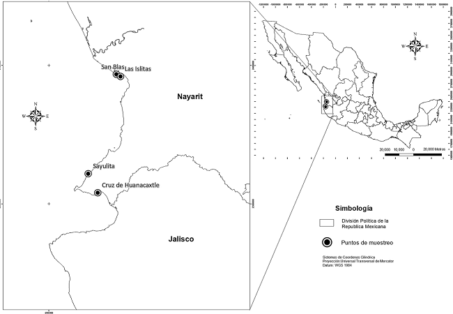 Área de estudio en Nayarit, México