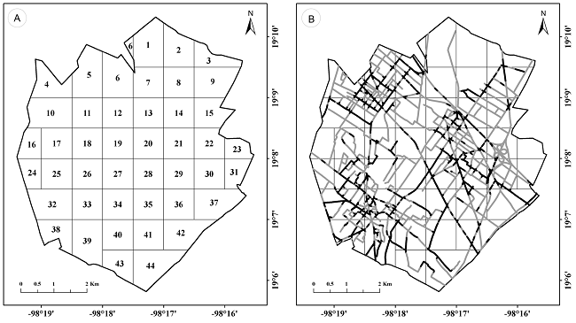 A. divisi&oacute;n del municipio Coronango en cuadros de 30 segundos por lado. Los cuadros con menos de 50% de superficie fueron fusionados con los cuadros vecinos; B. red de caminos (l&iacute;nea gris) en el municipio Coronango, Puebla, M&eacute;xico, y segmentos de la red con recolectas y observaciones (l&iacute;nea negra)
