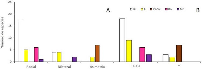 Distribuci&oacute;n de frecuencia de los colores de las flores entre categor&iacute;as de simetr&iacute;a (A) y orientaci&oacute;n espacial (B) en un bosque inundable de la cuenca del lago de Maracaibo, Venezuela. Color: A=amarillo, Bl.=blanco, Mo.=morado, Pa-Ve=pardo o verde, Ro.=rojo-rosado. Orientaci&oacute;n espacial: horizontal incluyendo hacia arriba y hacia abajo (&rarr;, ↗, ↘), vertical hacia arriba (&uarr;)