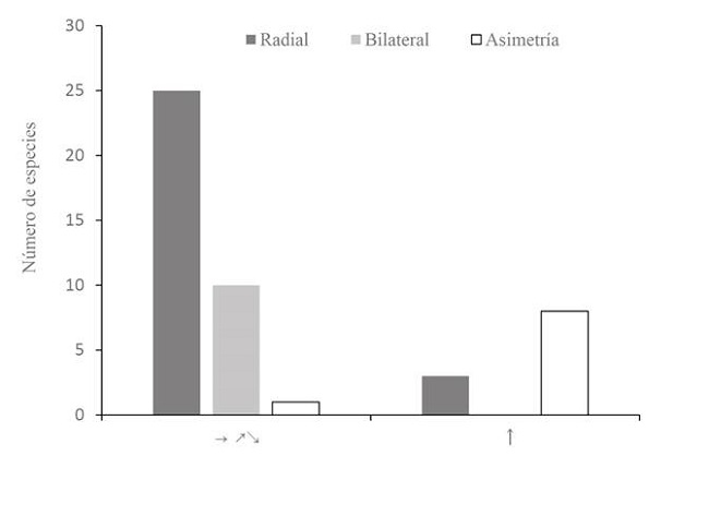 Distribuci&oacute;n de frecuencia de los tipos de simetr&iacute;a (radial, bilateral, asimetr&iacute;a) de acuerdo con la orientaci&oacute;n espacial de las flores en un bosque inundable de la cuenca del lago de Maracaibo, Venezuela. Orientaci&oacute;n espacial: horizontal incluyendo hacia arriba y hacia abajo (&rarr;, ↗, ↘), vertical hacia arriba (&uarr;)
