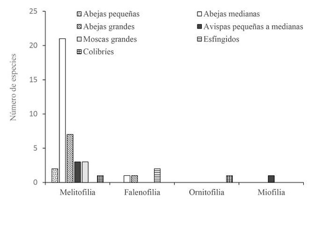 Distribuci&oacute;n de frecuencia de las clases de polinizadores observados entre los s&iacute;ndromes de polinizaci&oacute;n de un bosque inundable de la cuenca del lago de Maracaibo, Venezuela