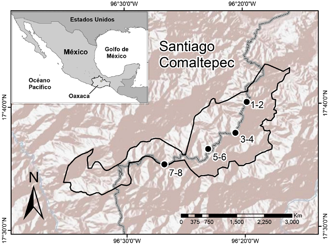 Ubicación de los sitios de muestreo (•) a lo largo del bosque nublado en el municipio Santiago Comaltepec, Oaxaca, México. La línea punteada indica la carretera 175 Oaxaca - Tuxtepec