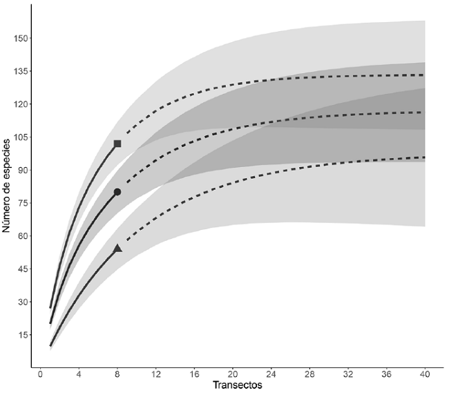 Gráfica de R/E en la que se muestran el número total de especies de musgos (■), así como las terrestres (▲) y epífitas (●). La línea continua indica la rarefacción y la línea punteada la extrapolación de la riqueza de especies. Las sombras en cada caso indican los intervalos de confianza a 95%