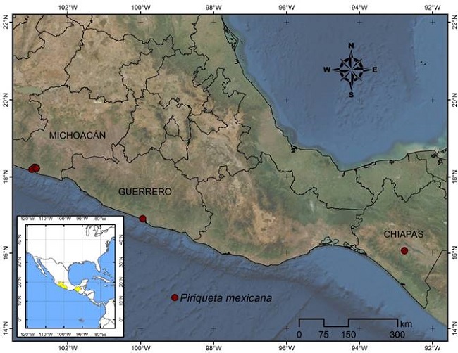 Mapa de distribuci&oacute;n de Piriqueta mexicana Fryxell & S.D. Koch en M&eacute;xico con base en registros de colectas hist&oacute;ricas