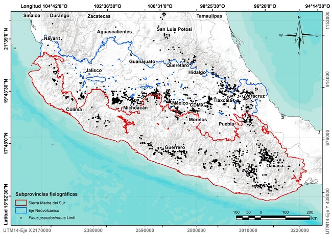 Subprovincias fisiográficas del centro-sur de México, mapa basado
								en el catálogo de metadatos geográficos de CONABIO (1997): Sierra Madre del Sur (SMSUR) y
								Eje Neovolcánico (ENEO), donde se observan los registros de
									P. pseudostrobus Lindl