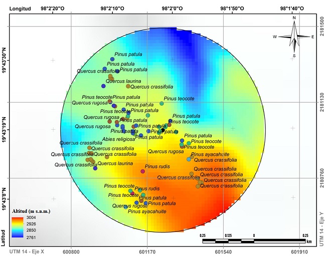 Ejemplo demostrativo de asociación de especies con P.
									pseudostrobus Lindl. para cada sitio (radio=500 m), donde se
									observa la distribución geográfica a diferentes gradientes
									altitudinales