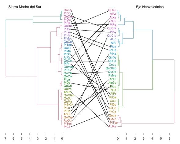 Tanglegrama que muestra la comparación de especies entre
								subprovincias, con base en la densidad de sus distribuciones, las
								líneas unen la misma especie y en caso contrario indican una
								ausencia entre las regiones. Los nombres completos de las especies
								se muestran en el Apéndice