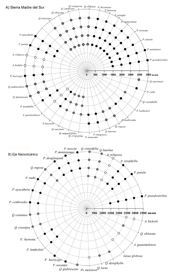 A. Asociación ecológica de P. pseudostrobus Lindl. definido con
								base en el rango altitudinal de desarrollo de 35 especies en la
								Sierra Madre del Sur (SMSUR); B. 26 especies en el Eje Neovolcánico
								(ENEO)