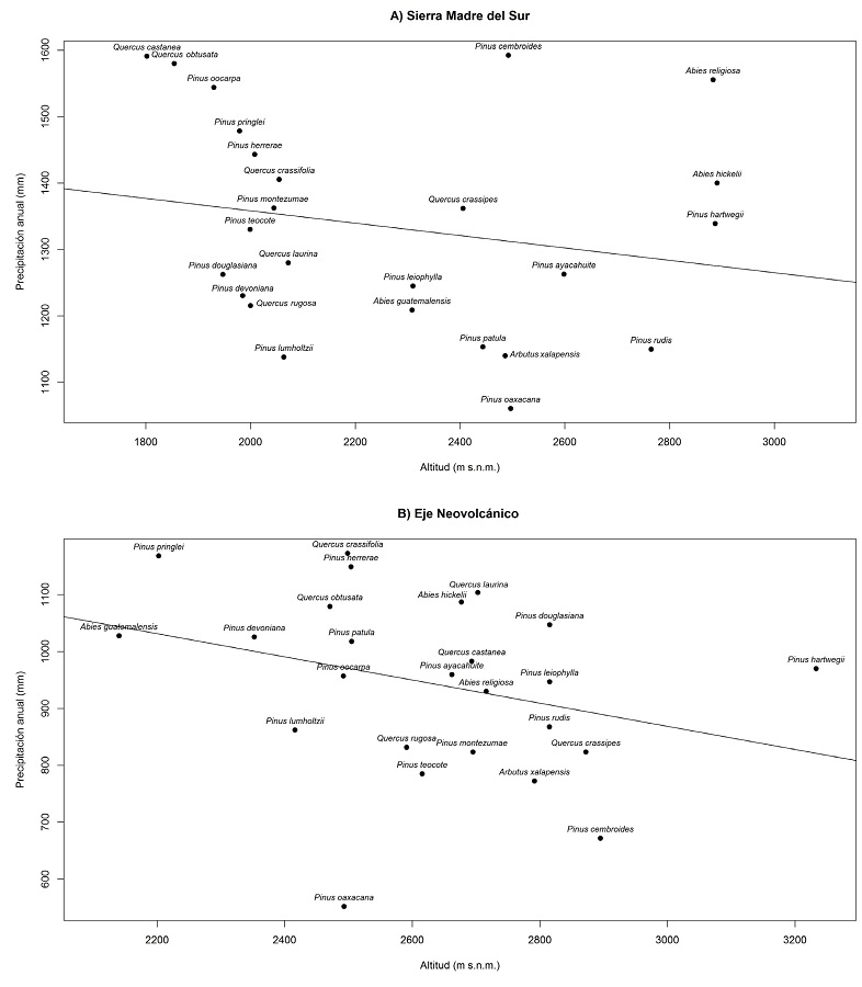 Correlación de Spearman entre la precipitación anual y la altitud
								promedio de todas las especies asociados con P. pseudostrobus Lindl.
								para SMSUR (A) y ENEO (B)