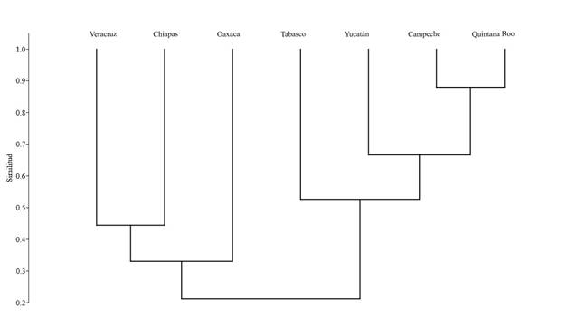 Similitudes florísticas de Cactaceae por entidad política en el Sureste de México, siguiendo el índice de similitud de Sørensen