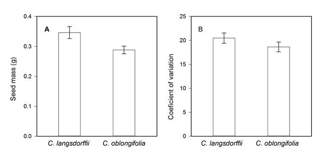 A. variations in seed mass; B. coefficient of variation of seed mass between Copaifera langsdorffii Desf and C. oblongifolia Martius species in Minas Gerais, Brazil