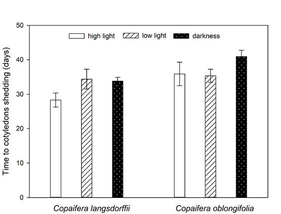 Variations in time required to cotyledons fall (mean &plusmn; ED) of Copaifera langsdorffii Desf. and C. oblongifolia Mart. seedling in high light intensity, low light intensity, and darkness in Minas Gerais, Brazil