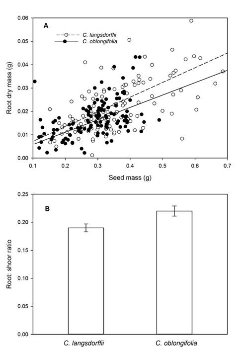 A. relationship between seed mass and root dry mass of Copaifera langsdorffii Desf. and C. oblongifolia Mart. seedling; B. variation in root:shoot ratio of C. langsdorffii Desf. and C. oblongifolia Mart. seedlings in Minas Gerais, Brazil