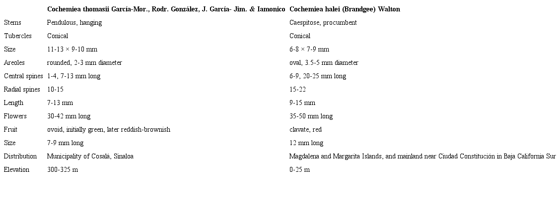 Morphological comparison between Cochemiea thomasii
							Garc&iacute;a-Mor., Rodr. Gonz&aacute;lez, J. Garc&iacute;a-Jim. & Iamonico and
								C. halei (Brandegee) Walton. Morphological data of
								C. halei were taken from Bravo-Hollis and Sanchez-Mejorada (1991) and
							examination of exsiccata (collected from 1889 to 1893; see the pragraph
							&ldquo;Additional examined material&rdquo;) and living plants