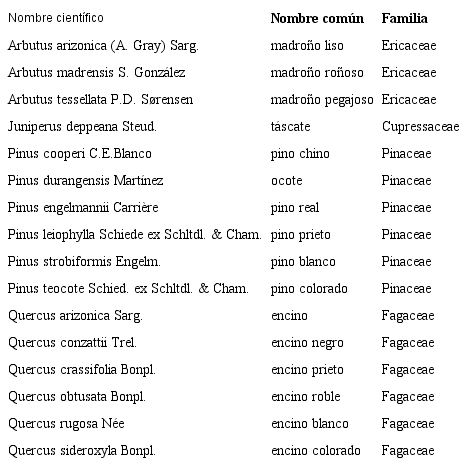 Nombre científico y común, y familia a la que pertenecen las especies
arbóreas registradas en el ejido San Esteban y Anexos, Pueblo Nuevo,
Durango, México