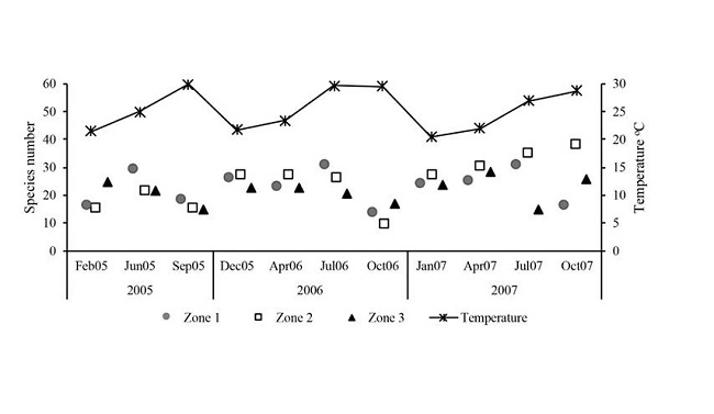 Macroalgae species number by zone and year in the San Lorenzo Channel coral reef, La Paz Bay, Gulf of California, Mexico